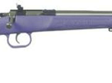 Keystone Crickett 22LR, 16.125", 1 Synthetic KSA2307 - Uncategorized | American Guns & Ammo