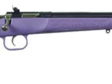 Crickett Single Shot Synthetic 22 WMR, Purple Synthetic Stock, Blued, 1rd - Uncategorized | American Guns & Ammo