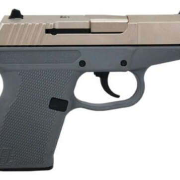 Kel-Tec P-11 9mm, 3.1", Nickel Boron Slide, Gray Frame, 10rd - Handsguns - American Guns & Ammo