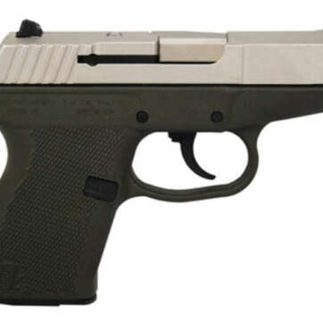 Kel-Tec P-11 9mm 3.1 Barrel Nickel Boron Slide Green Grip/Frame 10rd Mag - Handsguns | American Guns & Ammo