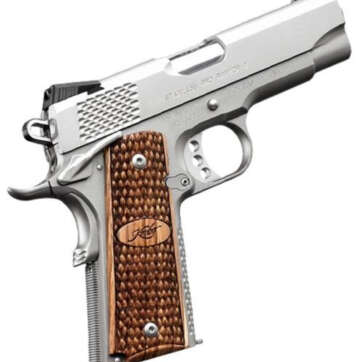 Kimber Stainless Pro Raptor II 45 ACP - Handsguns | American Guns & Ammo