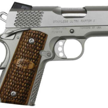 Kimber Stainless Ultra Raptor II, 9mm, 3", Satin Stainless Slide - Handsguns - American Guns & Ammo