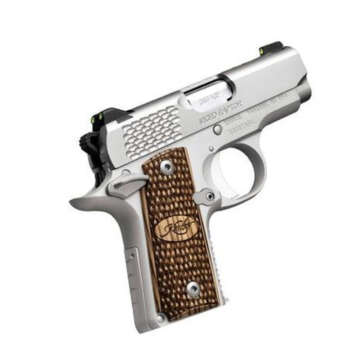 Kimber Micro Raptor Stainless Finish 380 ACP - Handsguns | American Guns & Ammo