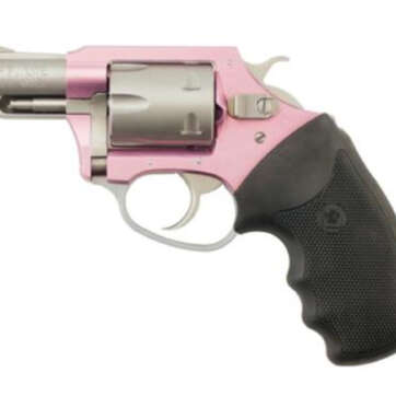 Charter Arms Pathfinder Pink Lady, .22 Mag, 2" Barrel, 6rd, Stainless Steel - Handsguns | American Guns & Ammo
