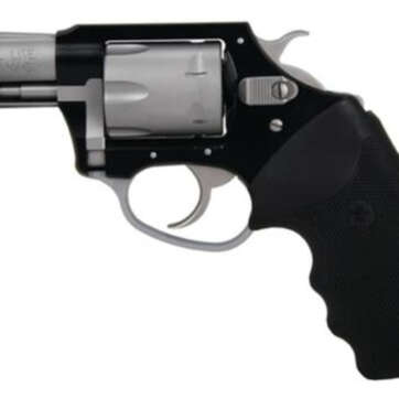 Charter Arms Pathfinder Lite, .22 Mag, 2" Barrel, 6rd, Aluminum Finish - Handsguns | American Guns & Ammo