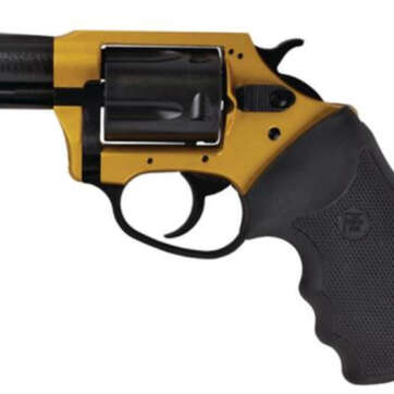 Charter Arms Undercoverette .32 H&R 2" Barrel Gold and Black 5rd - Handsguns | American Guns & Ammo
