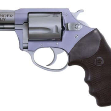 Charter Arms Lavender Lady Undercover Lite, .38 Special, 2" Barrel, 5rd, Stainless/Lavender - Handsguns | American Guns & Ammo