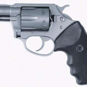 Charter Arms Pathfinder, .22 LR, 2" Barrel, 6rd, Stainless - Handsguns | American Guns & Ammo