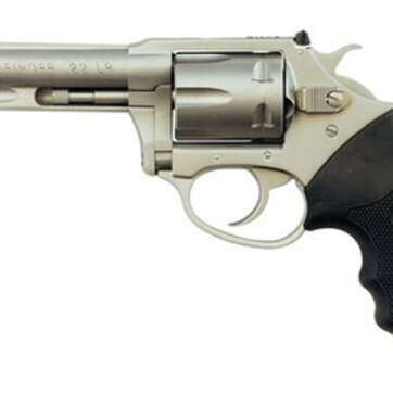 Charter Arms Pathfinder, .22 LR, 4" Barrel, 6rd, Matte Stainless Steel - Handsguns | American Guns & Ammo