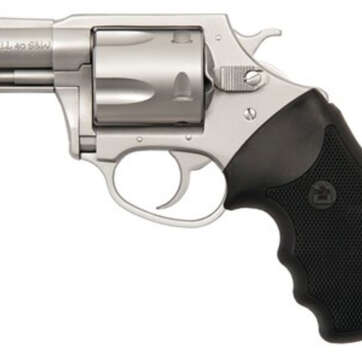 Charter Arms Pit Bull, .40 S&W, 2" Barrel, 5rd, Stainless - Handsguns | American Guns & Ammo