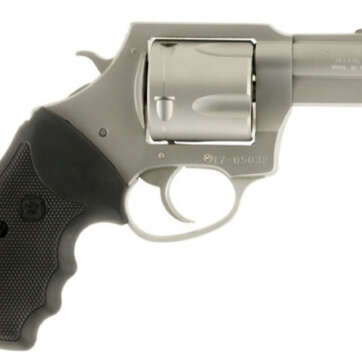 Charter Arms Pitbull, 45 ACP, 2.5", 5rd, Stainless - Handsguns | American Guns & Ammo