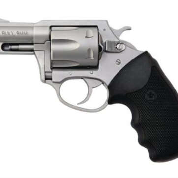 Charter Arms Pitbull 9mm, 2" Barrel, Stainless, 5rd - Handsguns | American Guns & Ammo
