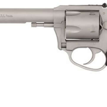 Charter Arms Pit Bull, 9mm, 6" Barrel, 5rd, Stainless - Handsguns | American Guns & Ammo