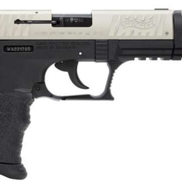 Walther P22 Target .22 L.R. 5" Barrel Nickel 10 Round, 2 Mags - Handsguns | American Guns & Ammo