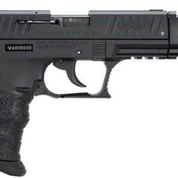 Walther P22 .22 L.R. CA Target Black 10 Round, 2 Mags - Handsguns | American Guns & Ammo