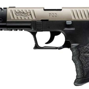 Walther P22 .22 L.R. CA Target Nickel 10 Round, 2 Mags - Handsguns | American Guns & Ammo
