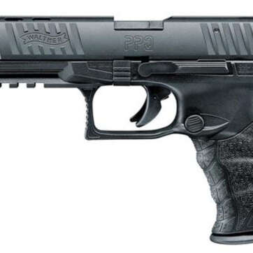 Walther PPQ M2 .22 L.R. 5" Black 10 Round, Fiber Optic Front Sight 1 Mag - Handsguns | American Guns & Ammo