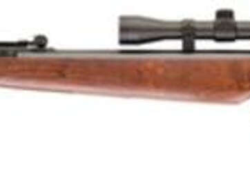 Umarex Ruger Air Hawk Rifle .177 Pellets, 18.7" Blued Barrel, Dark Hardwood Ambi Stock, 4X32mm Scope - Air Guns & BB Guns | American Guns & Ammo