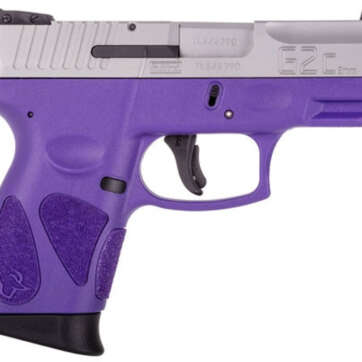 Taurus G2c, 9mm, 3.25" Barrel, 12rd, Dark Purple Frame, Stainless Steel Slide - Handsguns - American Guns & Ammo