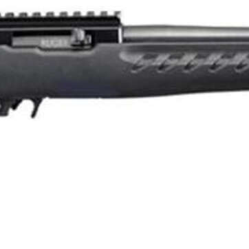 Ruger Charger .22LR Pistol, 10" Threaded Barrel, 10rd, Black Polymer Stock - Handsguns - American Guns & Ammo