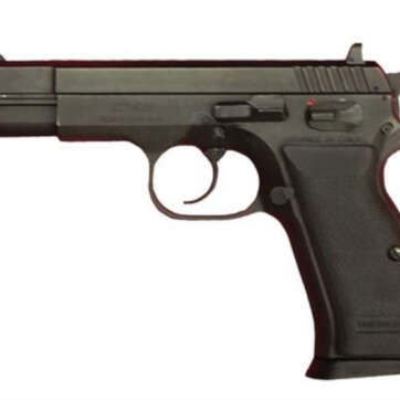EAA Tanfoglio Witness Combo Set, 45 ACP/22LR, 4.5",Blue Finish 10 Round Mag - Handsguns | American Guns & Ammo