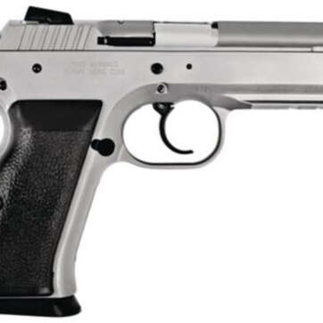EAA Witness 40SW Steel Frame, Full Size, 15 Rd Mags - Handsguns | American Guns & Ammo