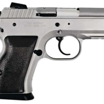 EAA Witness 40SW Steel Frame, Compact Size, 12 Rd Mags - Handsguns | American Guns & Ammo
