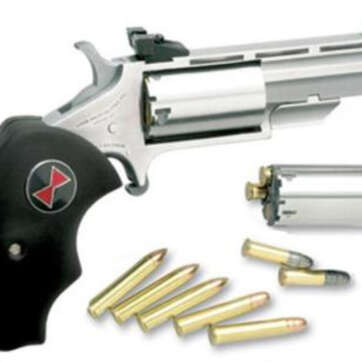 NAA Black Widow 22LR/22 Mag Convertible 2" Barrel, Rubber Grip - Handsguns | American Guns & Ammo