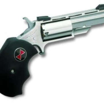 North American Arms NAA 22lr 2 Black Widow Ss As - Handsguns | American Guns & Ammo