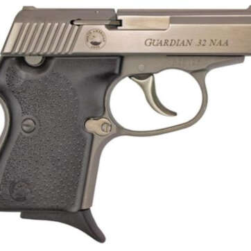 NAA 32 Guardian 32 NAA 2.5" Barrel, Black Rubber Grip SS, 6rd - Handsguns | American Guns & Ammo