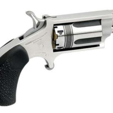North American Arms NAA Wasp Convertible 22LR/22 Mag - Handsguns | American Guns & Ammo