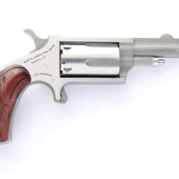 North American Arms NAA 22Mag/22LR Convertible 1-5/8" SS, Holster, Eagle Grip - Handsguns | American Guns & Ammo