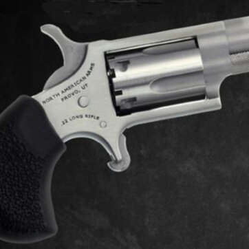 North American Arms Mini 22lr Rev 1-1/8 Ss Ported - Handsguns | American Guns & Ammo