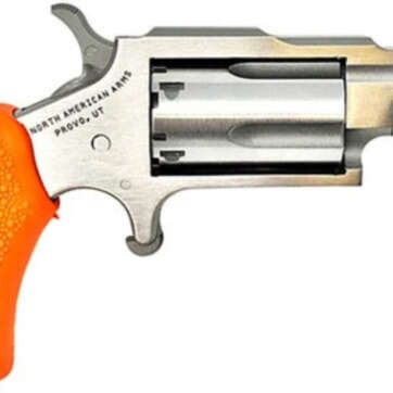 North American Arms NAA BUG OUT BOX 22LR 1-1/8" SS Barrel Orange Grip, Waterproof Box - Handsguns | American Guns & Ammo
