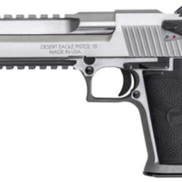 Magnum Research Desert Eagle Mark XIX Pistol .44 Magnum 6" Barrel SS, Muzzle Brake 8rd - Handsguns | American Guns & Ammo