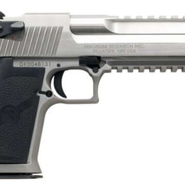 Magnum Research Desert Eagle Mark XIX, 429 DE, 6" Barrel, 7rd, Stainless Steel - Handsguns - American Guns & Ammo