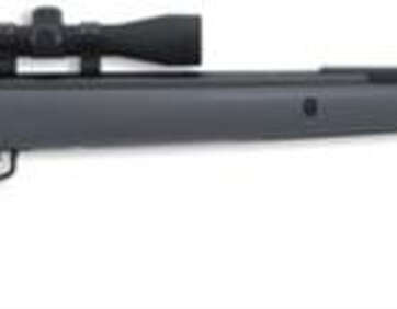 Gamo Big Cat Air Rifle .22 Caliber 18" Fluted Barrel Black Finish Synthetic Black Stock Includes 4x32mm Scope With Gamo Standard Reticle and Rings - Air Guns & BB Guns | American Guns & Ammo