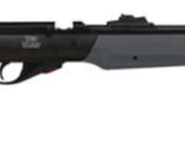 Gamo Red Alert Cadet SP .177 Caliber Shoots Pellets and BB's - Air Guns & BB Guns | American Guns & Ammo