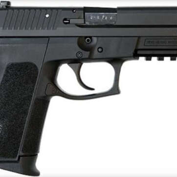 Sig SP2022 .40SW, Night Sights, 10rd Mags, Black - Handsguns | American Guns & Ammo