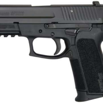 Sig SP2022 .40SW Night Sights 12rd Mags Black - Handsguns | American Guns & Ammo