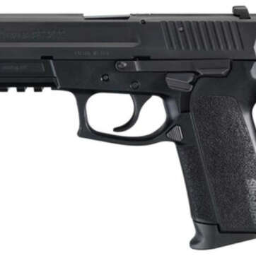 Sig Sauer, SP2022, Semi-automatic, DA/SA, Compact, 9mm, 3.9" Barrel, Polymer Frame, Black Color, Right Hand, Decocker, Siglite Night Sights, 15Rd, 2 Magazines - Handsguns | American Guns & Ammo