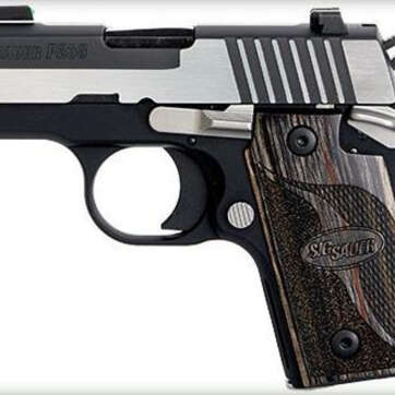 Sig P238 380 ACP 2.7" Equinox 2-Tone SAO TFO Front/Siglite Rear Blackwood Grip 6rd Mag - Handsguns | American Guns & Ammo