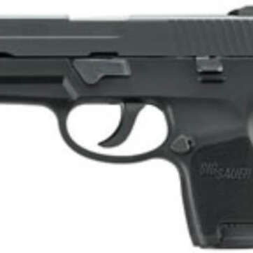 Sig P250 .40 S&W, 3.6", DAO, Contrast Sights, 10rd - Handsguns | American Guns & Ammo