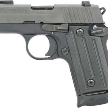 SIG P238 Academy Exclusive, .380 ACP, 2.7", 6rd, SIGLITE Night Sights, Nitron - Handsguns | American Guns & Ammo