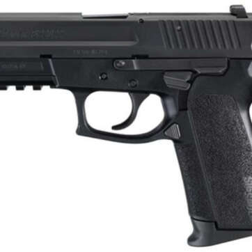 Sig SP2022 9MM 3.9In Nitron Black Da/Sa Contrast Sights Polymer Grip (2) 10Rd Steel MAG Rail CA Compliant - Handsguns | American Guns & Ammo