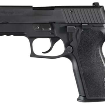Sig 227 Carry 45 ACP 4" Barrel Night Sights 10rd Mags - Handsguns | American Guns & Ammo