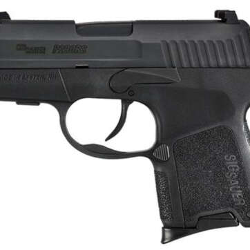 SIG P290RS .380 ACP, 2.9", 6/8rd, Nitron Finish, SigLite Night Sights - Handsguns - American Guns & Ammo