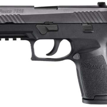 Sig P320 9mm 3.9" Barrel Nitron Siglite Nite Sites Modular Grip, Rail 2-15Rd Mags - Handsguns | American Guns & Ammo