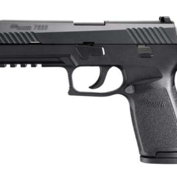 Sig P320 40 SW 4.7In Nitron Black, Striker Siglite Modular Polymer Grip (2) 14Rd Steel MAG Rail - Handsguns | American Guns & Ammo