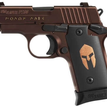 Sig P238 380 ACP Spartan ORB 2.7" Barrel Siglite Spartan Grip 7rd Mag - Handsguns | American Guns & Ammo